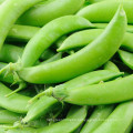 2021 New Crop Chinese High Quality Cheap Fresh Carrot Green Sugar Snap Pea